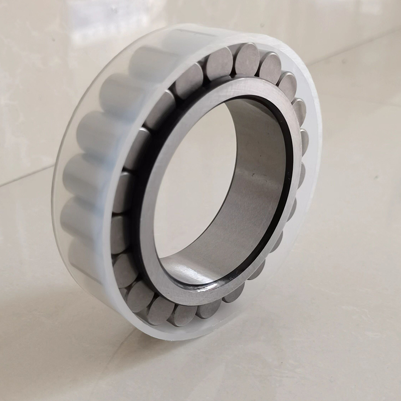 INA SL bearings