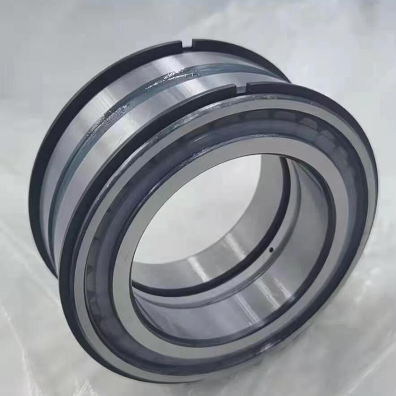 INA SL bearings