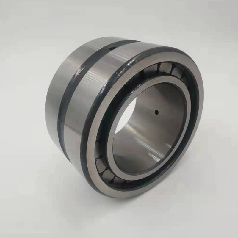 INA SL bearings