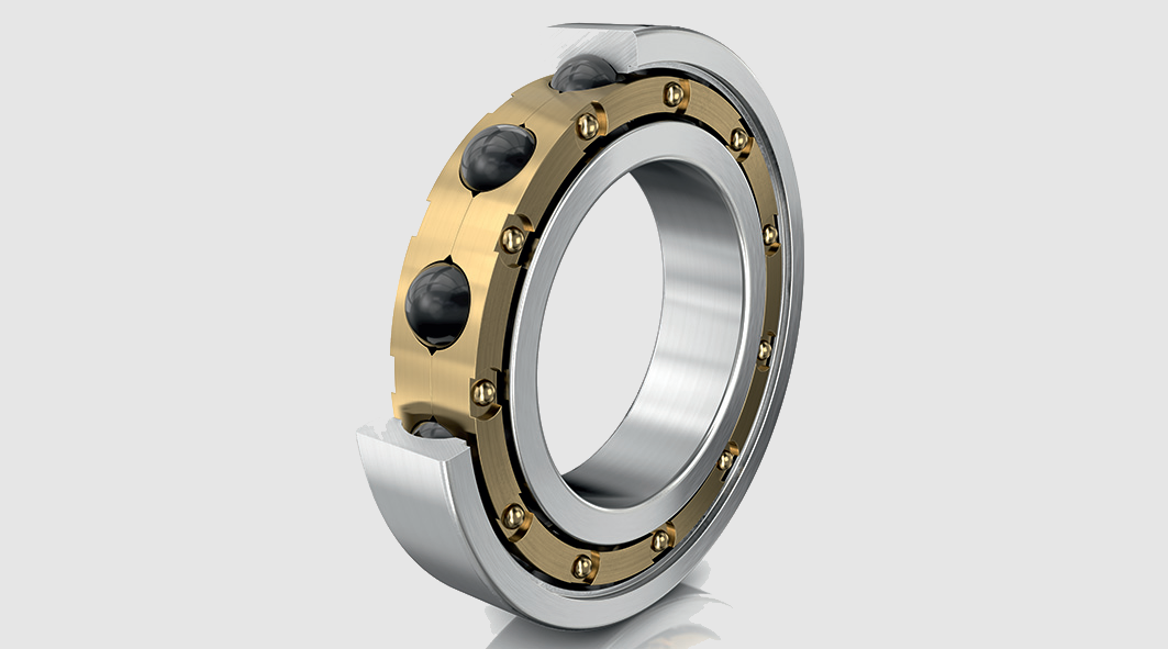 Railway Traction Motor Bearings