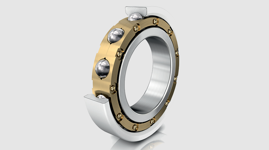 Railway Traction Motor Bearings