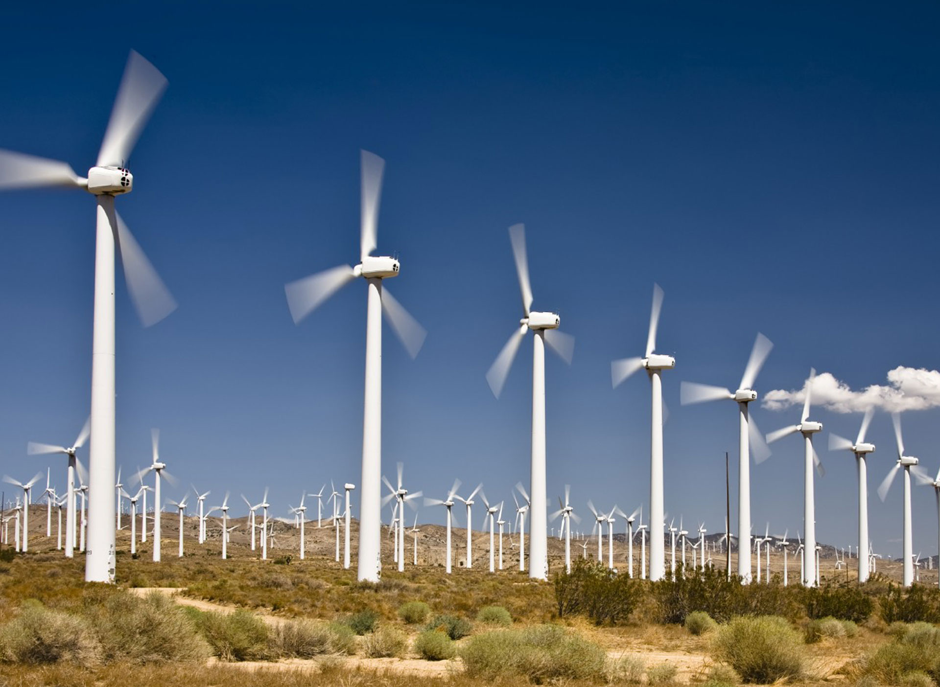 Wind Energy