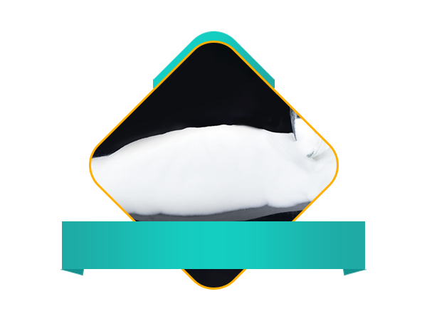 Silica Gel for Beer Stabilization Silica Gel for Beer Stabilization