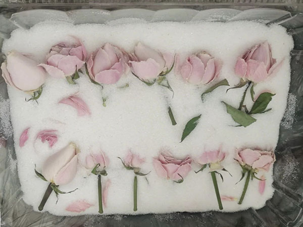 Silica Gel for Flower Drying