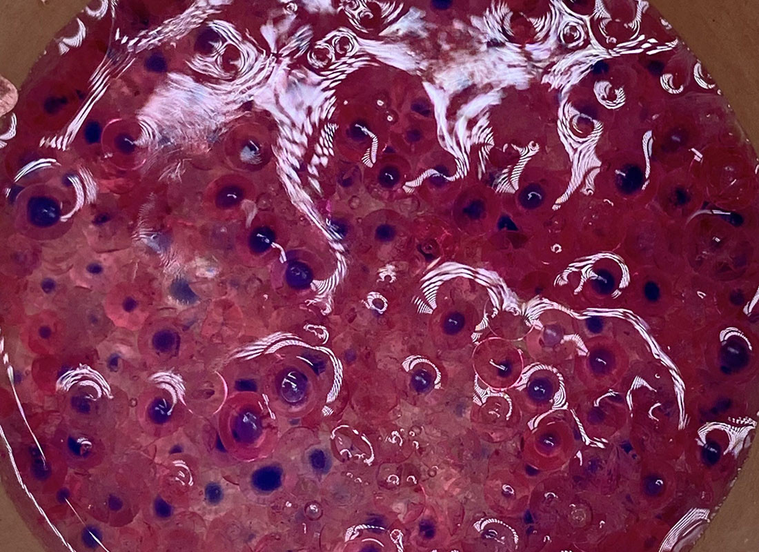 e5209591c3c1ca246893ff9df8a6ba1.jpg e5209591c3c1ca246893ff9df8a6ba1.jpg