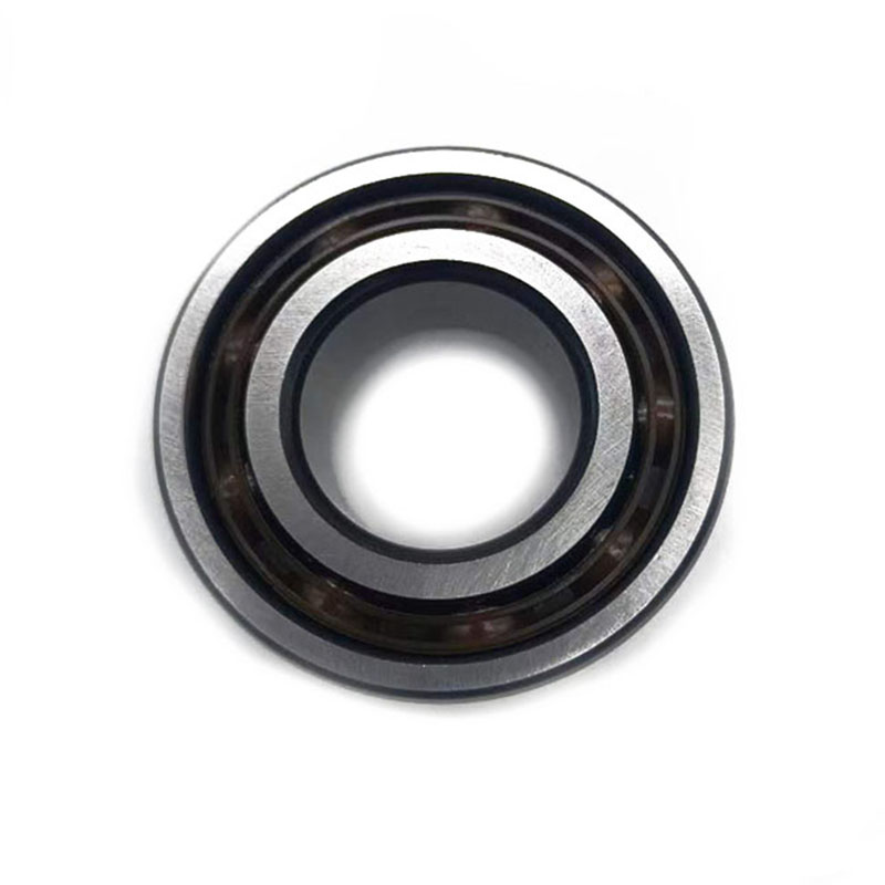 Double Rows Angular Contact Ball Bearing