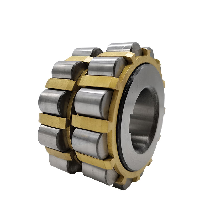 Double Rows Cylindrical Roller Bearing