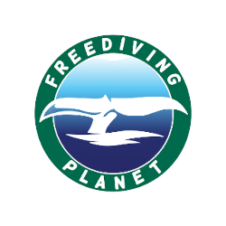 Simplify Your Business Management | Freediving Planet Takes You Through Zoho Inventory Software