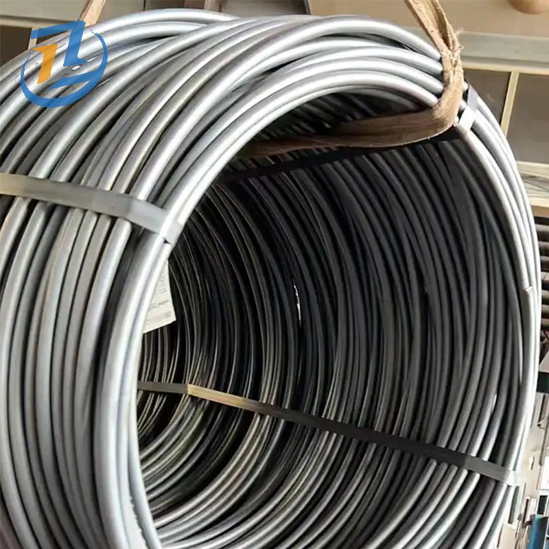 SAE 1008 Carbon Steel Wire Rod