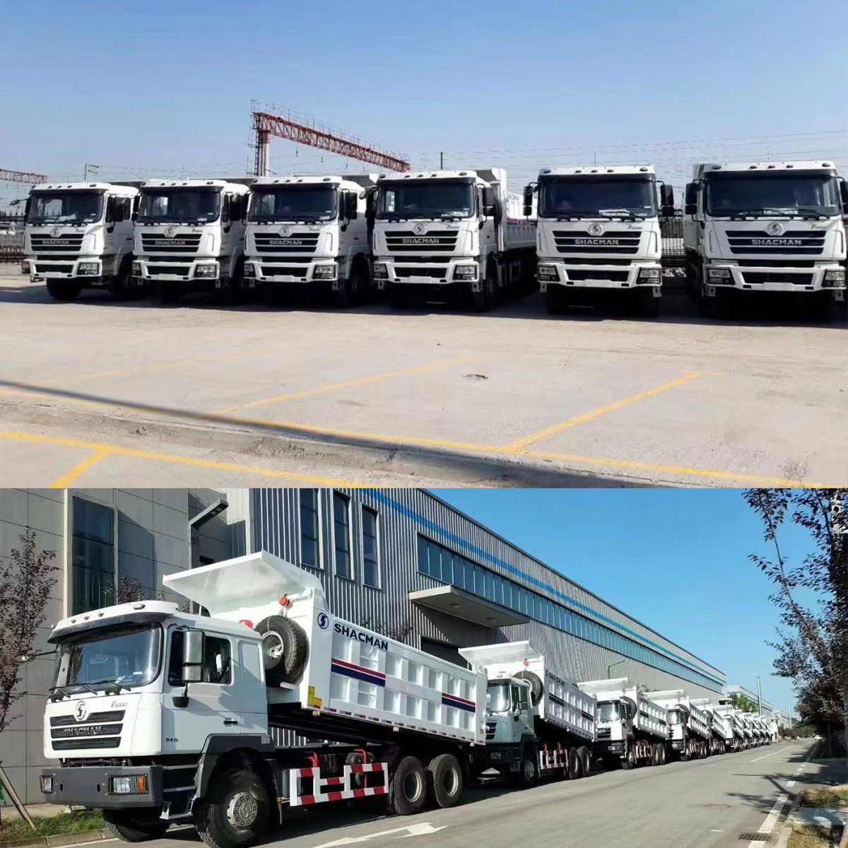 F3000 dump truck 008615806669689 whatsapp-6.jpg