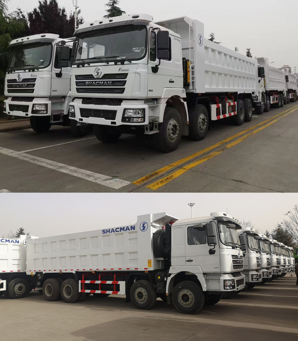 F3000 dump truck 0015806669689 whatsapp-5.jpg