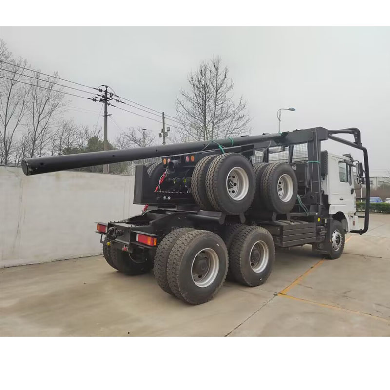 SHACMAN wood logging truck