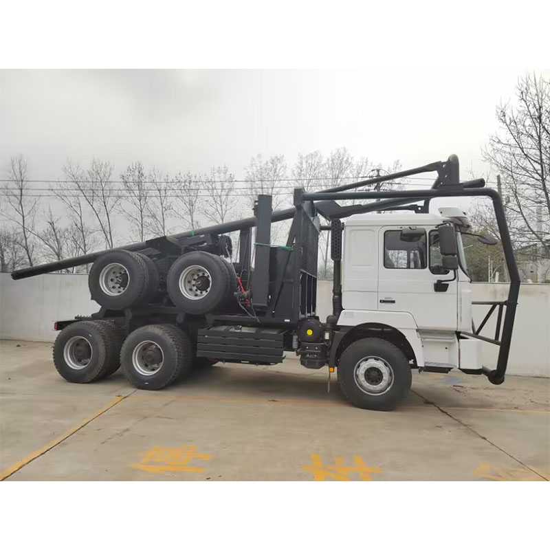 SHACMAN wood logging truck