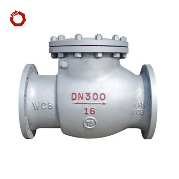 Swing Check Valves