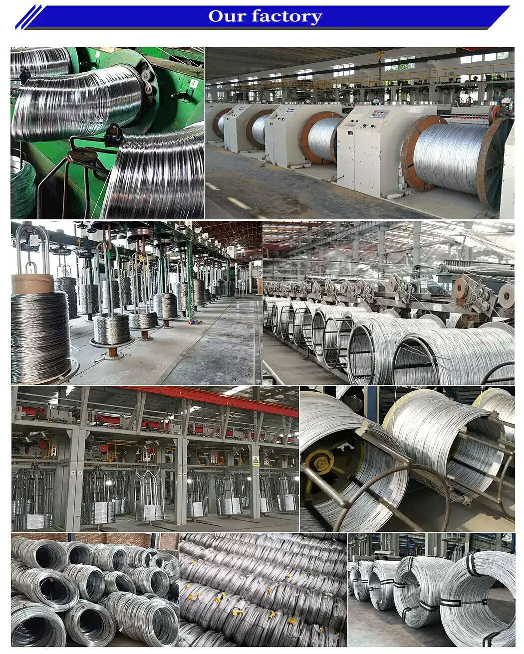 Galvanized Steel Wire.jpg