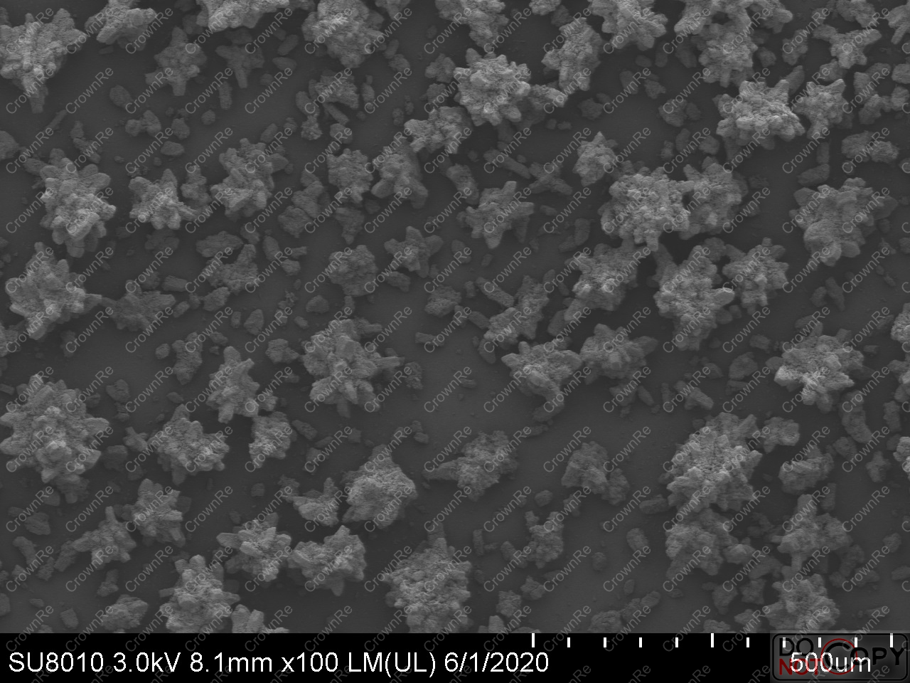 Y5O4F7 being developed successfully by CrownRe