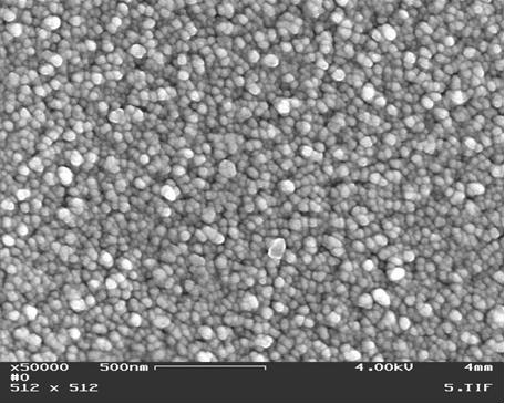 Fig 1: The Surface Morphology of the Y2O3 Layer