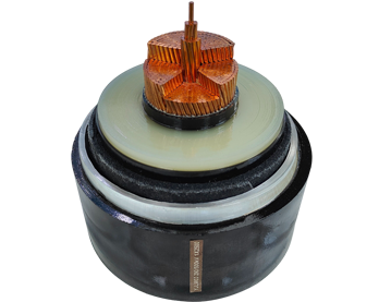 微信图片_20260401143720_1214_6