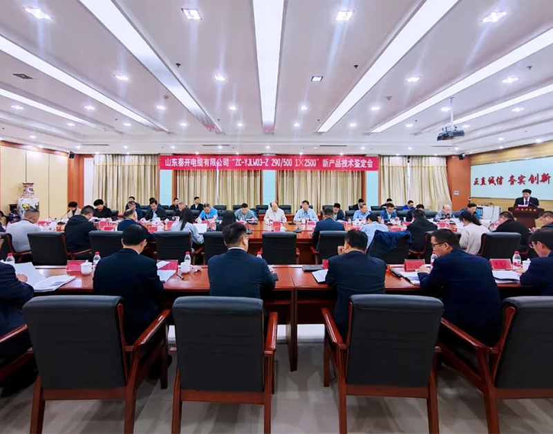 Taikai Cable held a technical appraisal meeting for new products 