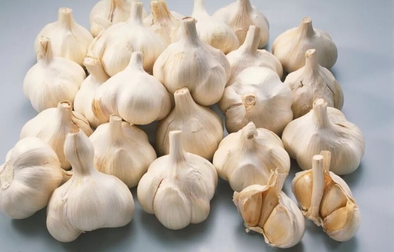Garlic