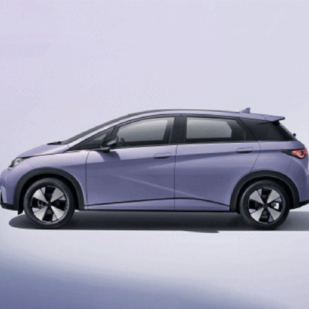 2.gif Meet BYD Dolphin