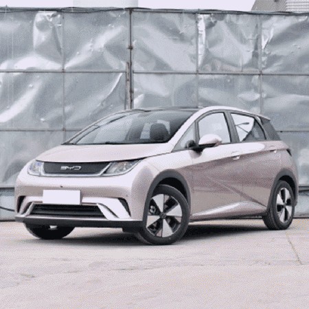 4.gif Meet BYD Dolphin