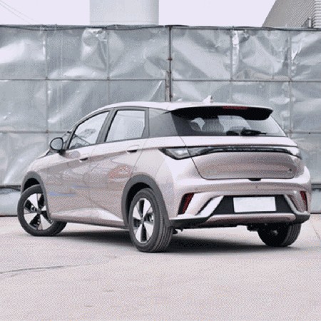 Meet BYD Dolphin