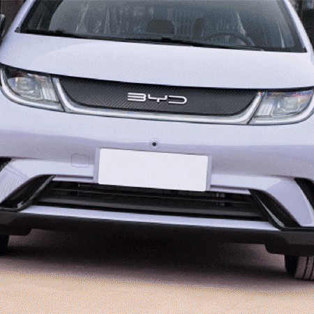 Meet BYD Dolphin