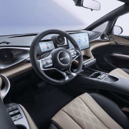 Meet BYD Dolphin