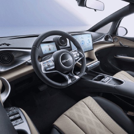 4.gif Meet BYD Dolphin