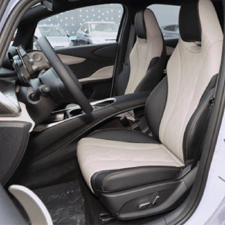Meet BYD Dolphin