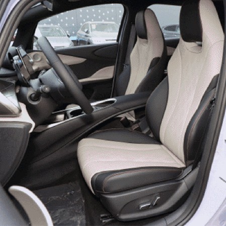 Meet BYD Dolphin