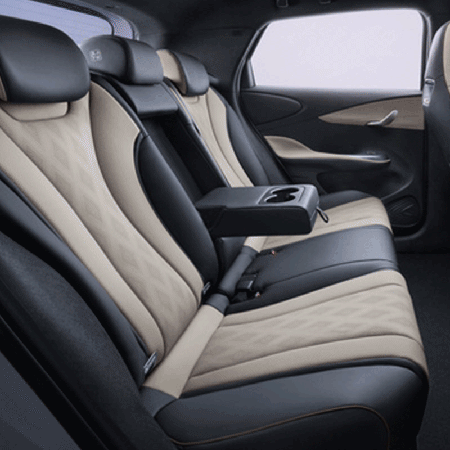Meet BYD Dolphin
