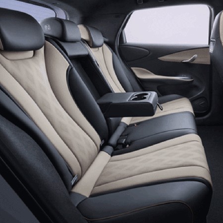 Meet BYD Dolphin