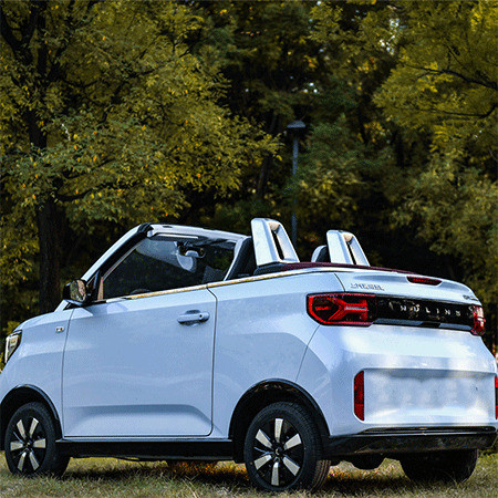 Meet Wuling Hongguang MINI EV