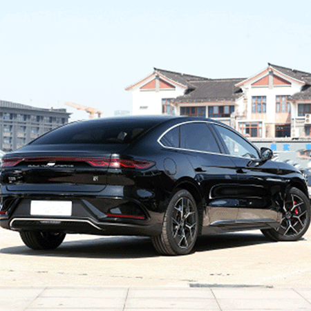 Meet BYD han