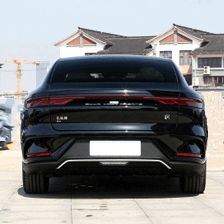 Meet BYD han