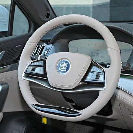 Meet BYD Tang EV