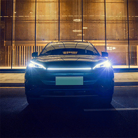 Meet BYD Yuan Plus