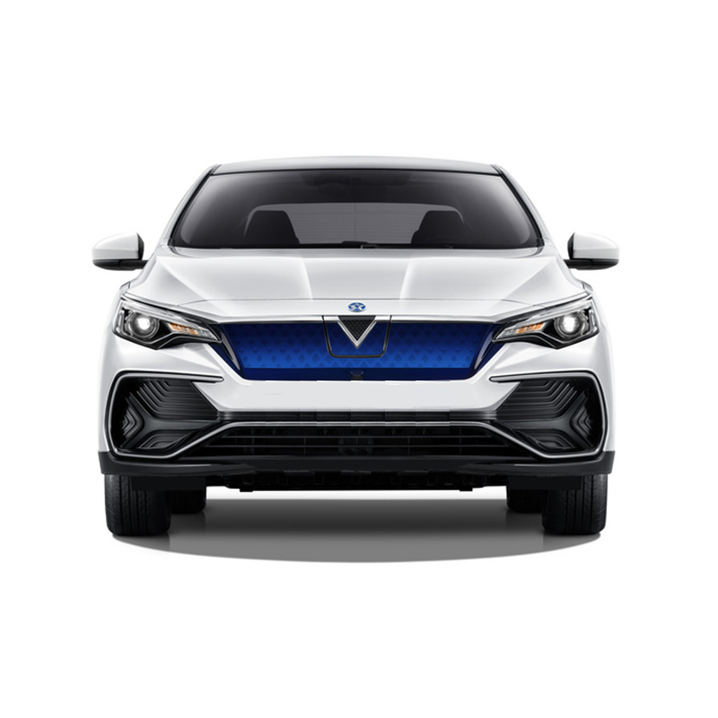 Meet Venucia D60EV