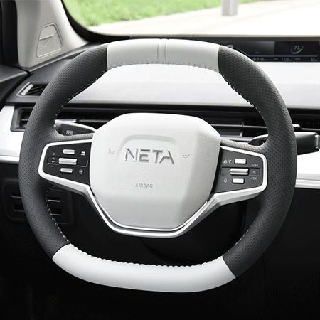 Meet NETA AYA