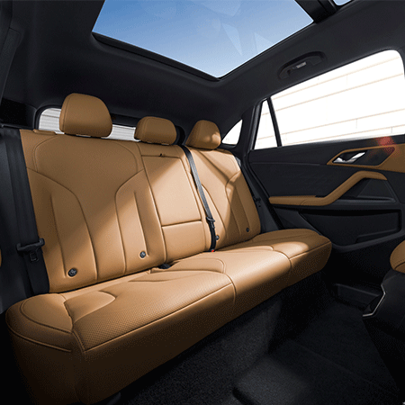ROEWE RX5 1.5T flagship intelligent driving version
