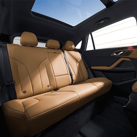 ROEWE RX5 1.5T flagship intelligent driving version