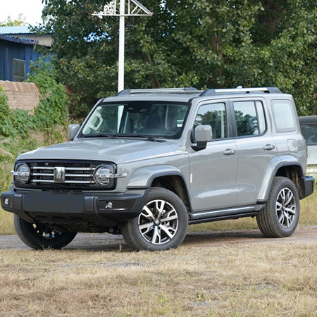 Tank 300 2023 City version 2.0T is very stylish