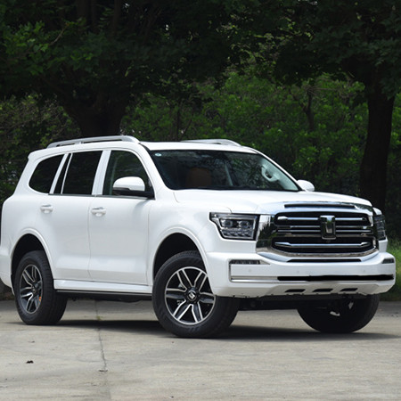 Tank 500 2023 3.0T sports version of the peak type 5 seats