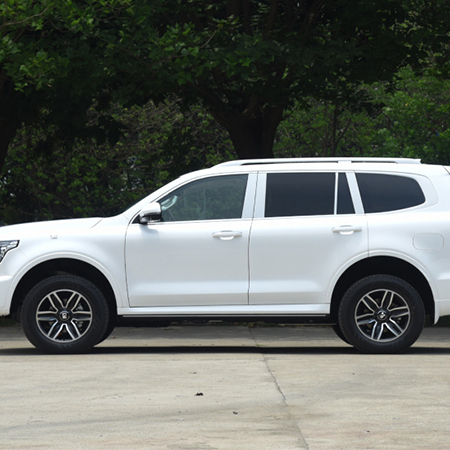 Tank 500 2023 3.0T sports version of the peak type 5 seats