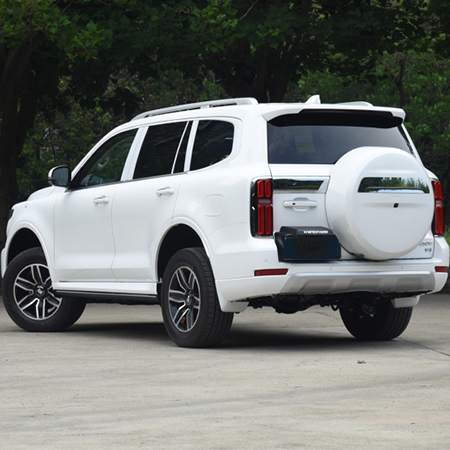 Tank 500 2023 3.0T sports version of the peak type 5 seats