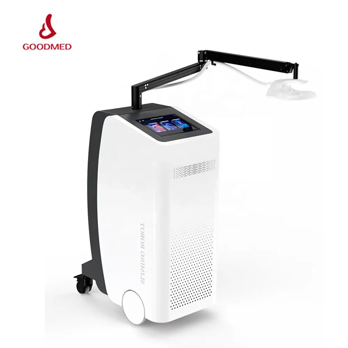 Laser magnetic therapy instrument