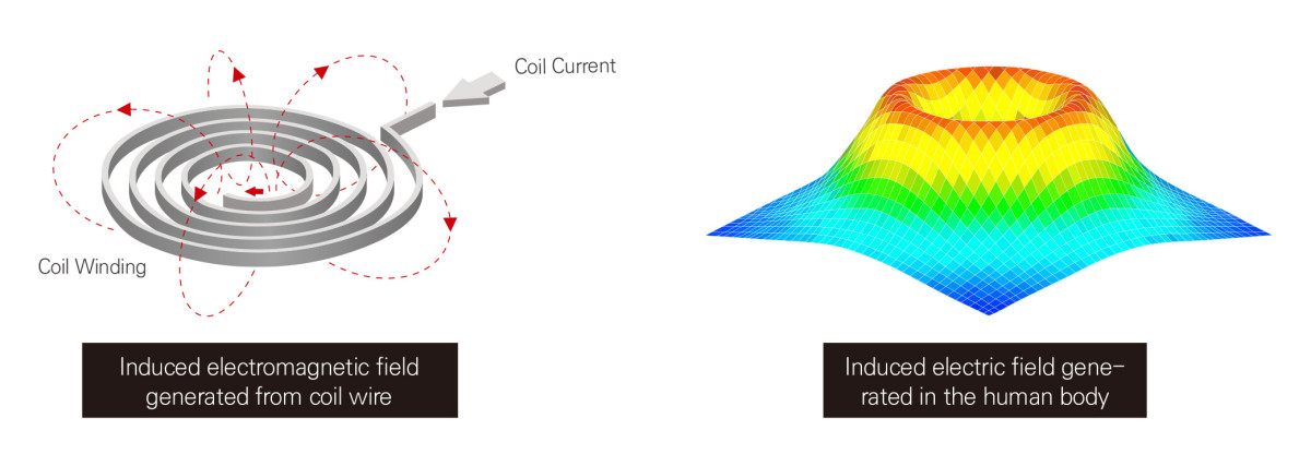 23_Magrex catalog(3)-1.jpg