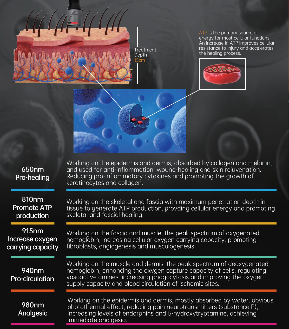 Fotonmedix Catalog-4.jpg